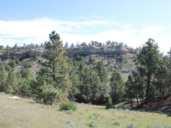 Canyon Dr Tract 48