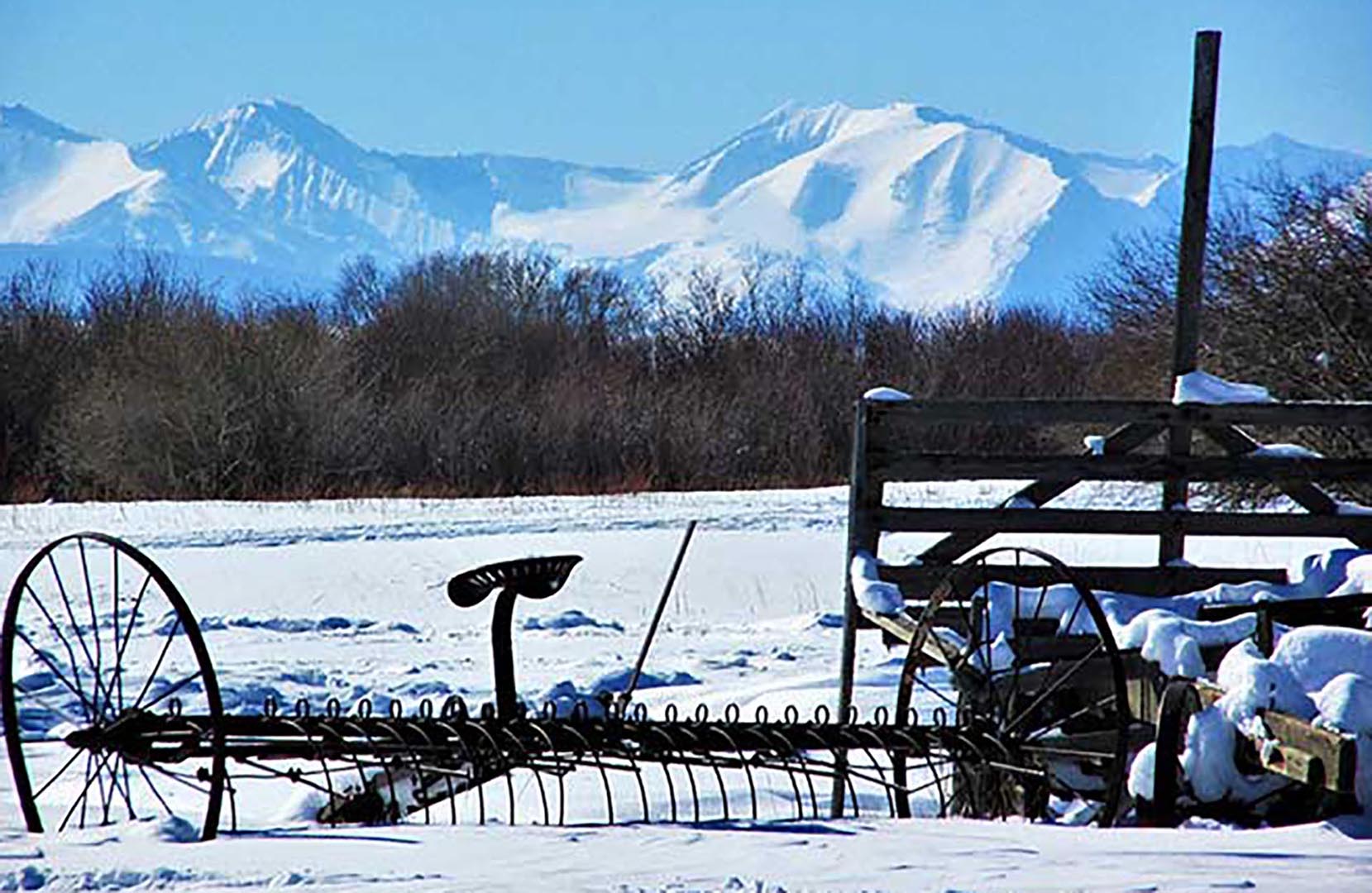 Vaughn Ranch Cattle Feedlot Montana Property For Sale